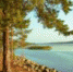 Ленинградская область - Morozinfo.Ru