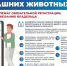 Порядок обязательной регистрации домашних животных в Ленинградской области - Администрация пос. им. Морозова